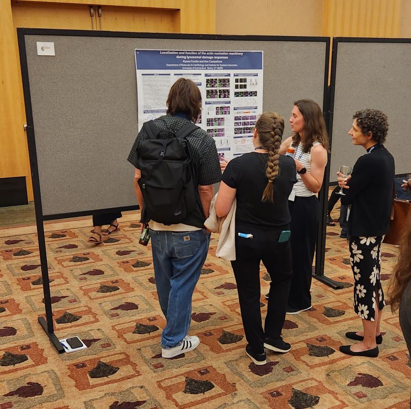 Image for the Tweet beginning: The revival of Motile &amp;